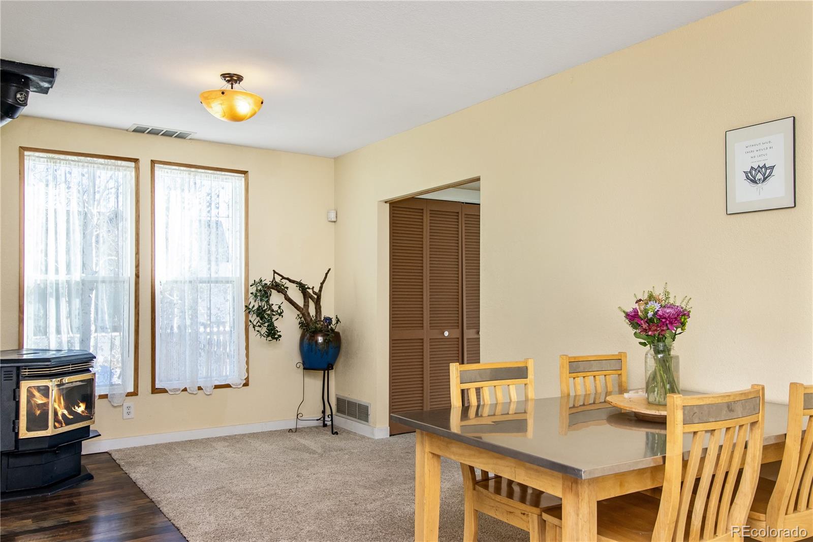 MLS Image #8 for 564  clark street,fairplay, Colorado