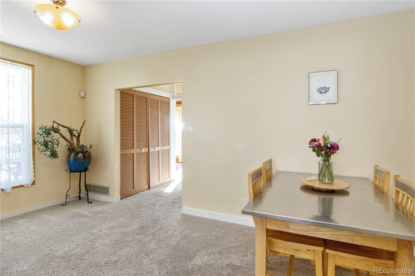MLS Image #9 for 564  clark street,fairplay, Colorado