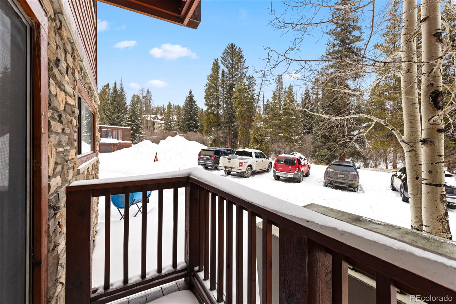 MLS Image #21 for 350  four o'clock road,breckenridge, Colorado