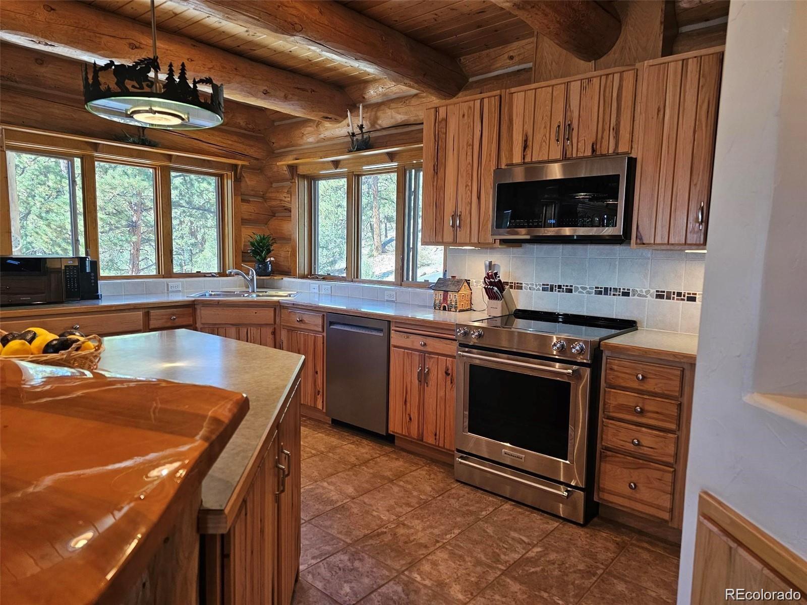 MLS Image #16 for 256  blueberry trail,bailey, Colorado