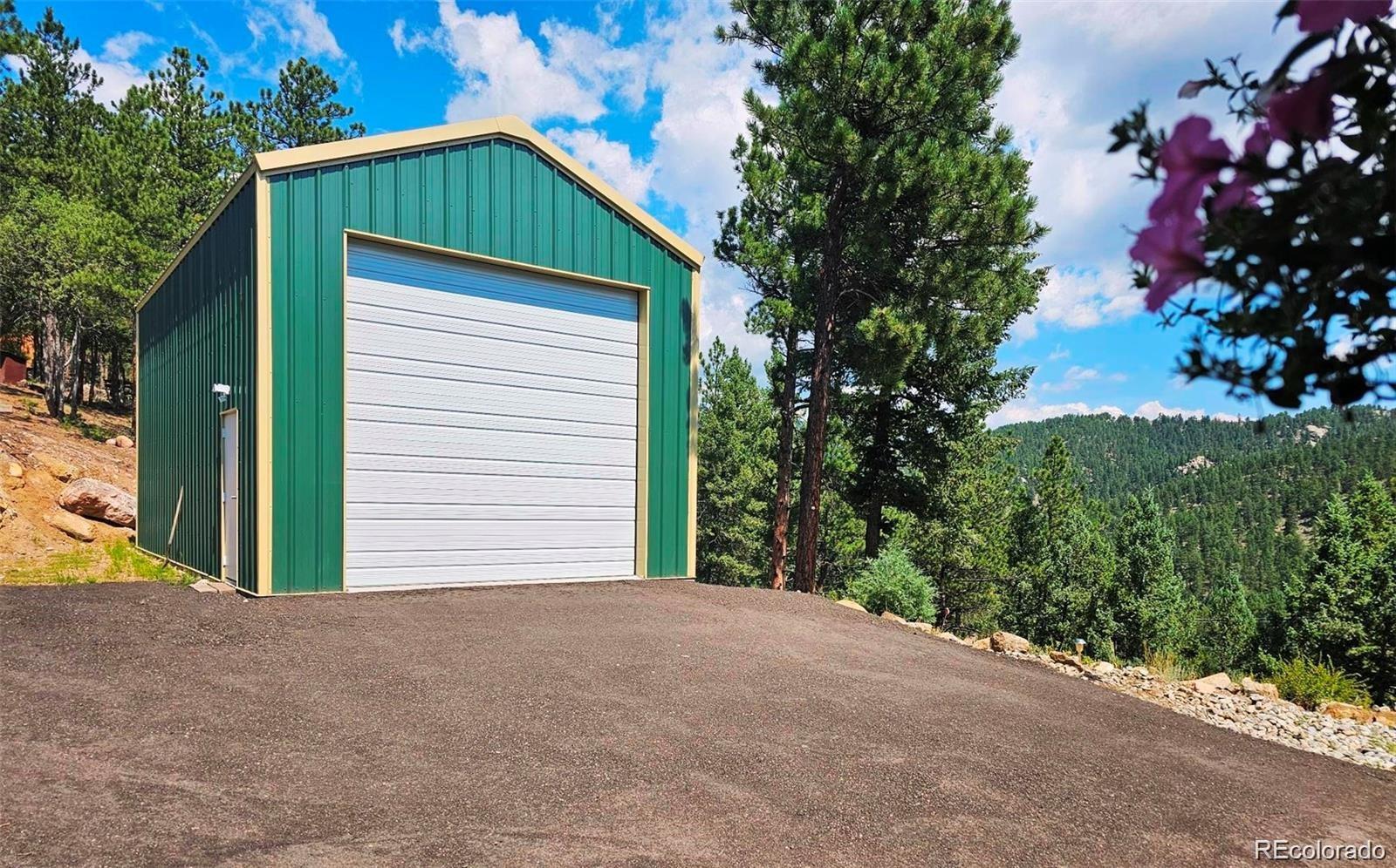 MLS Image #6 for 256  blueberry trail,bailey, Colorado