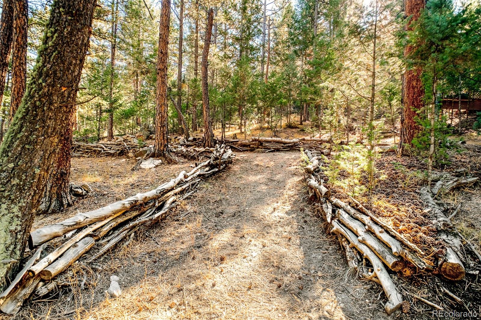 MLS Image #31 for 203  lo meadow lane,bailey, Colorado