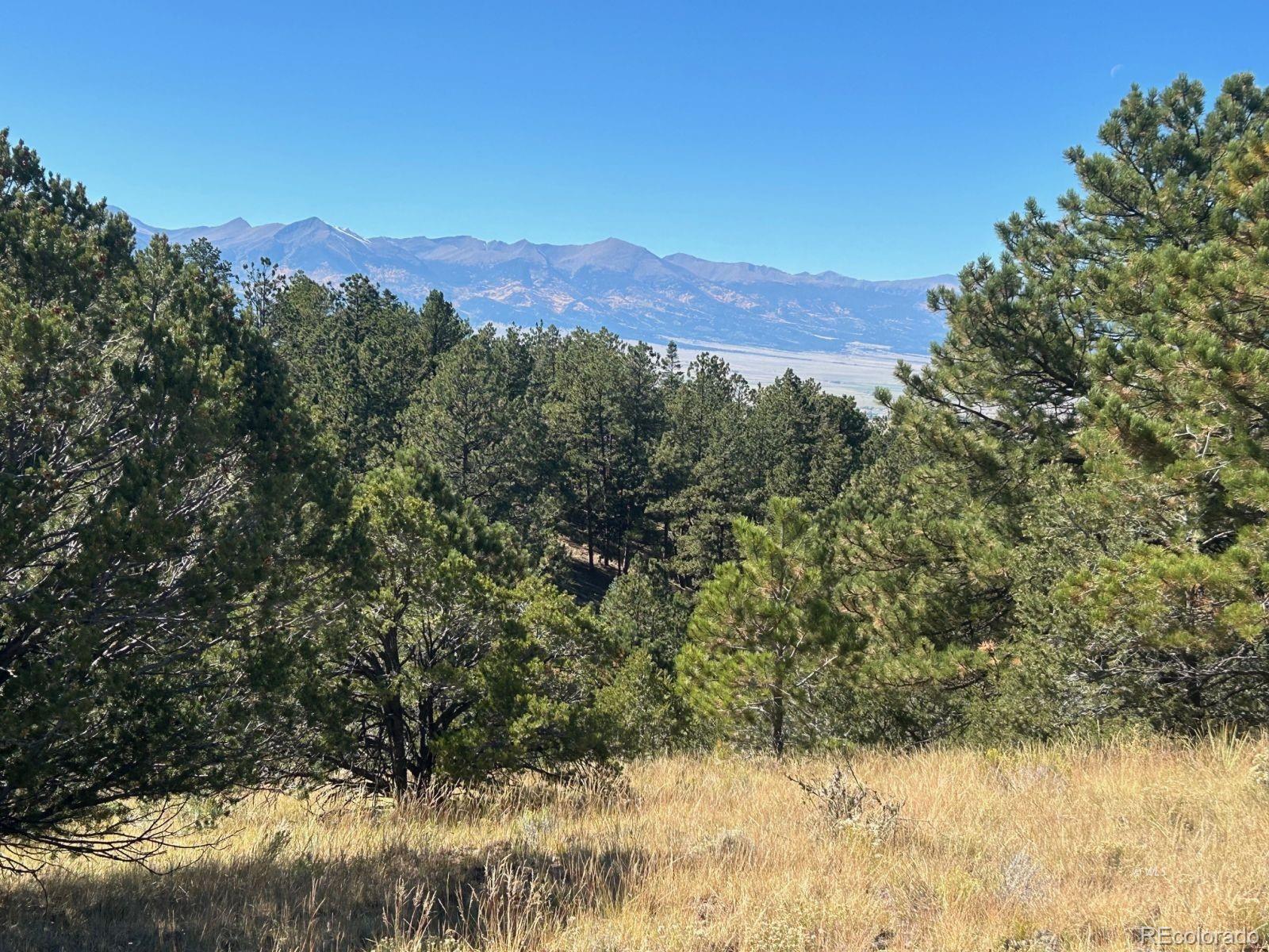 MLS Image #24 for 603  wakeeney drive ,westcliffe, Colorado