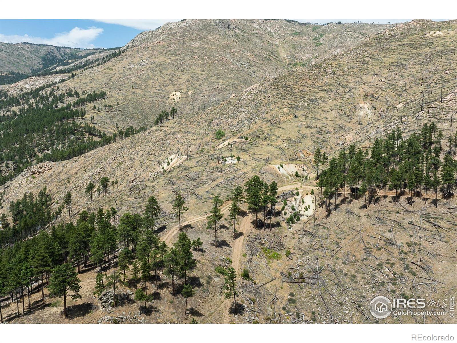 MLS Image #10 for 6319  sunshine canyon drive,boulder, Colorado