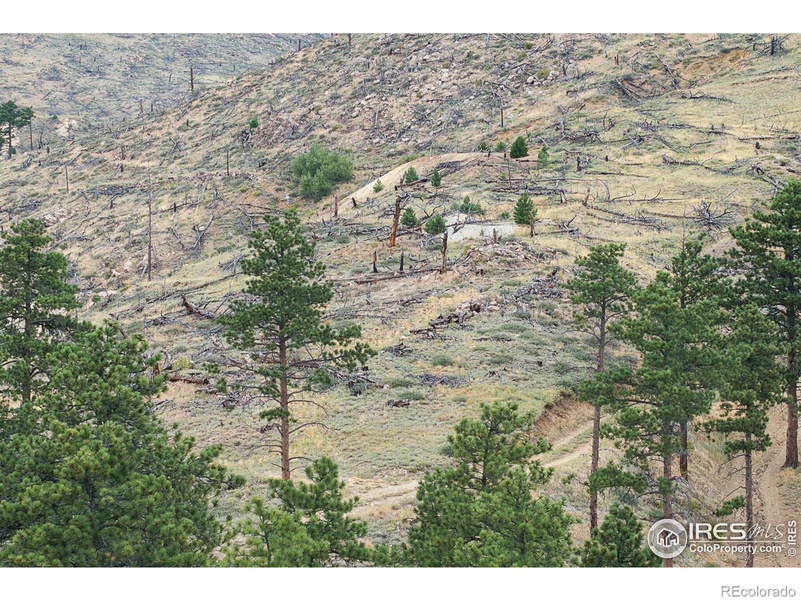 MLS Image #13 for 6319  sunshine canyon drive,boulder, Colorado