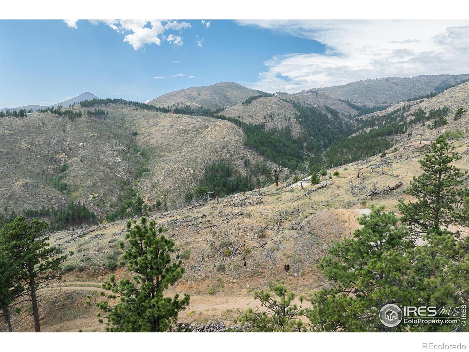 MLS Image #9 for 6319  sunshine canyon drive,boulder, Colorado