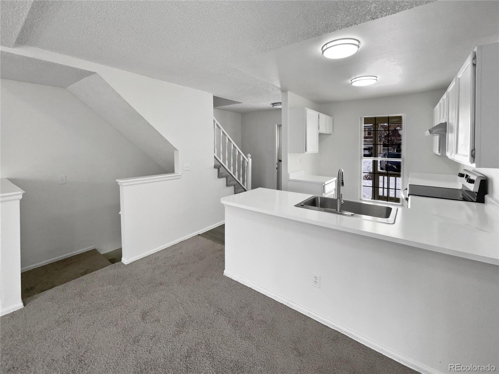 MLS Image #8 for 4578  malta street,denver, Colorado