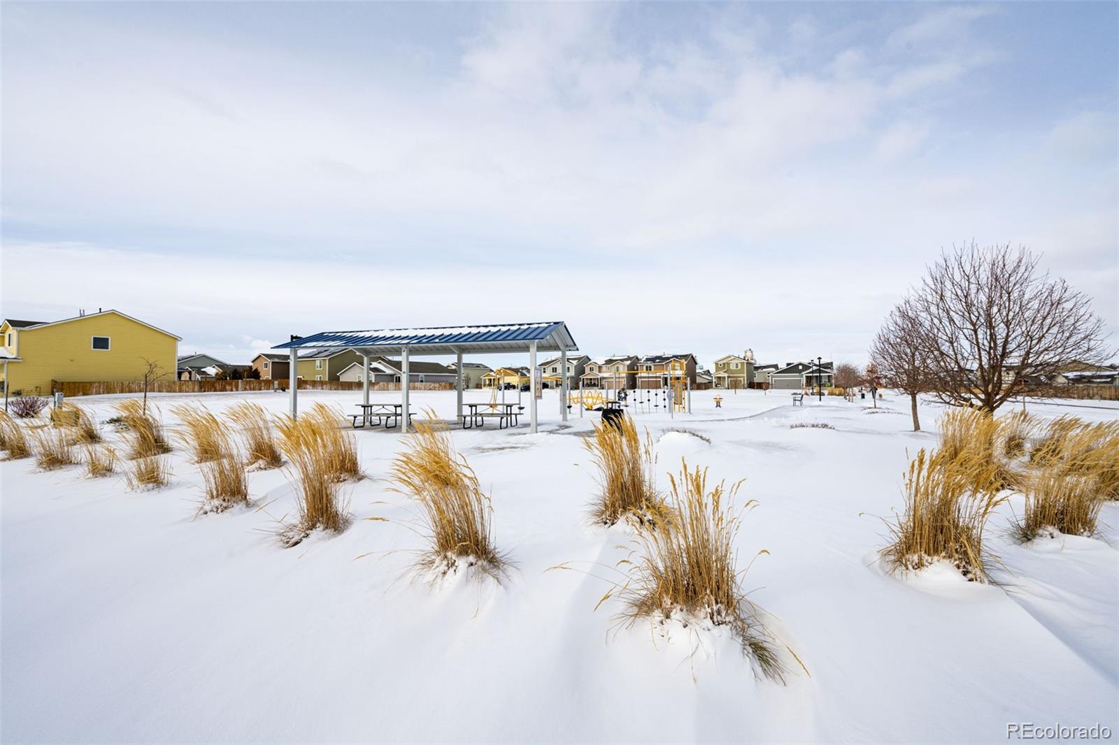 MLS Image #36 for 47387  lilac avenue,bennett, Colorado