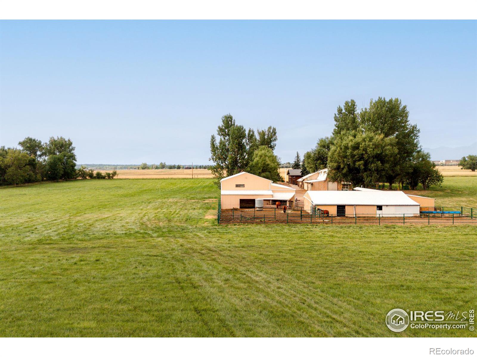 MLS Image #3 for 6789  niwot road,longmont, Colorado