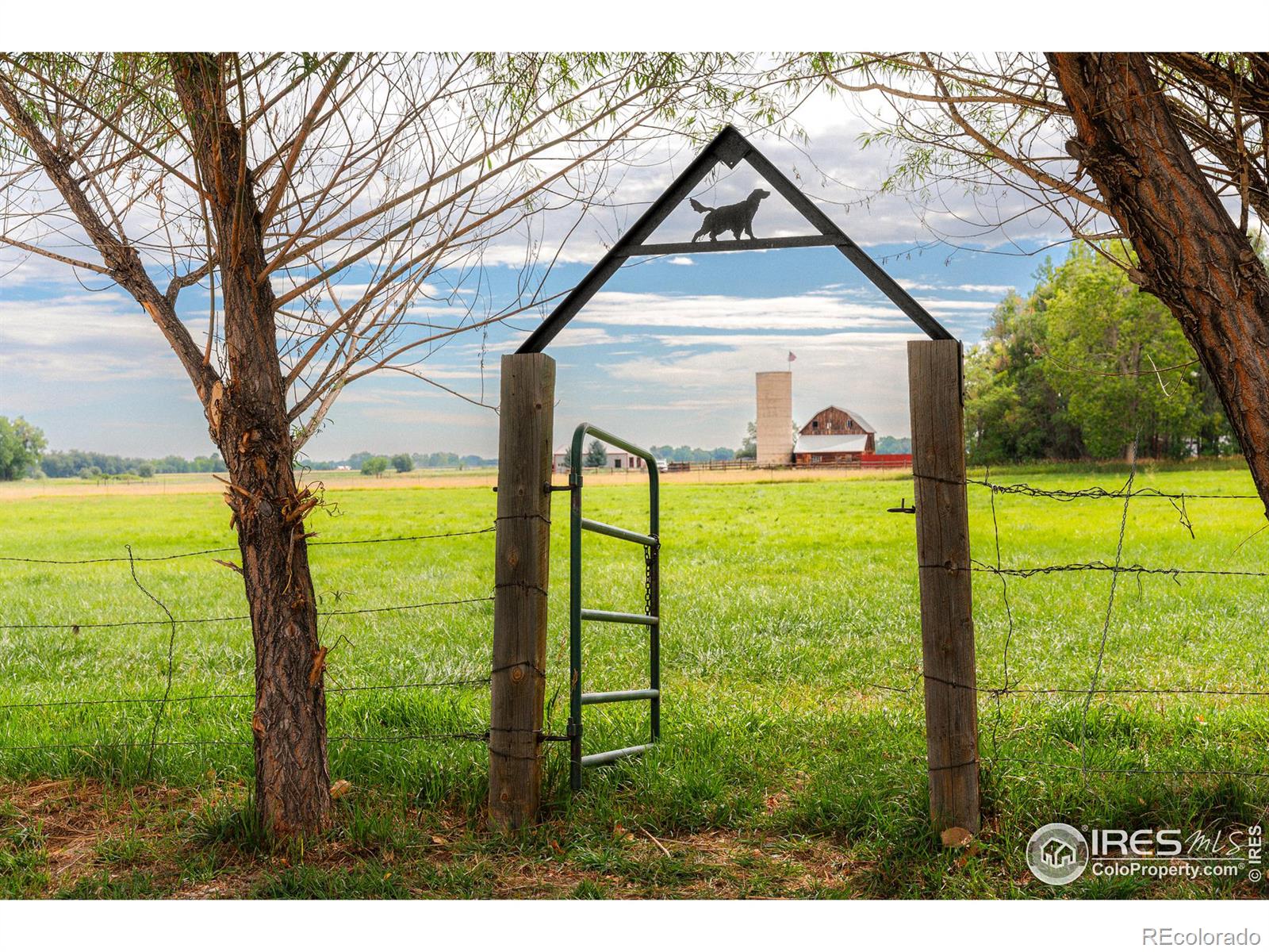 MLS Image #5 for 6789  niwot road,longmont, Colorado