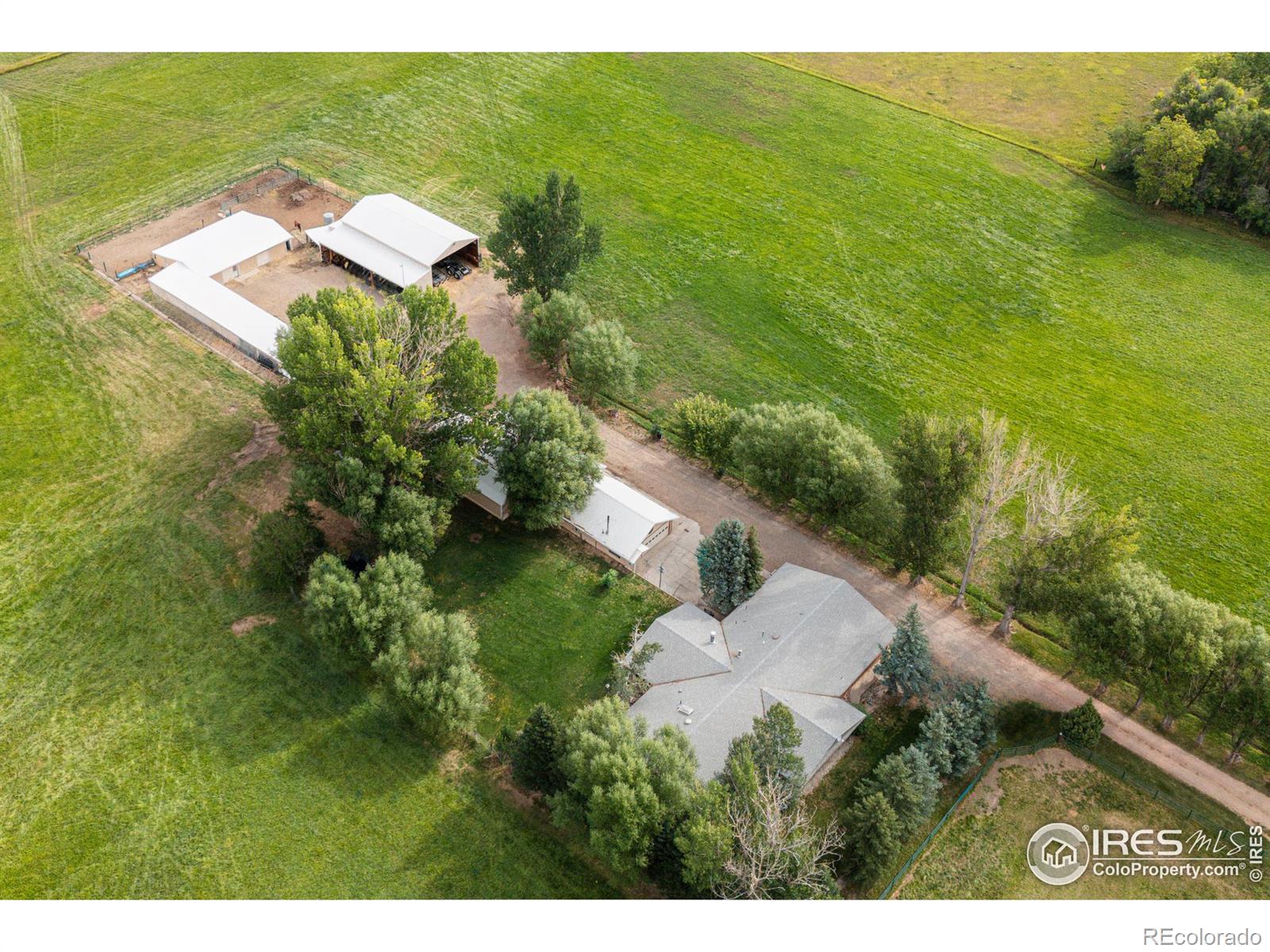 MLS Image #8 for 6789  niwot road,longmont, Colorado