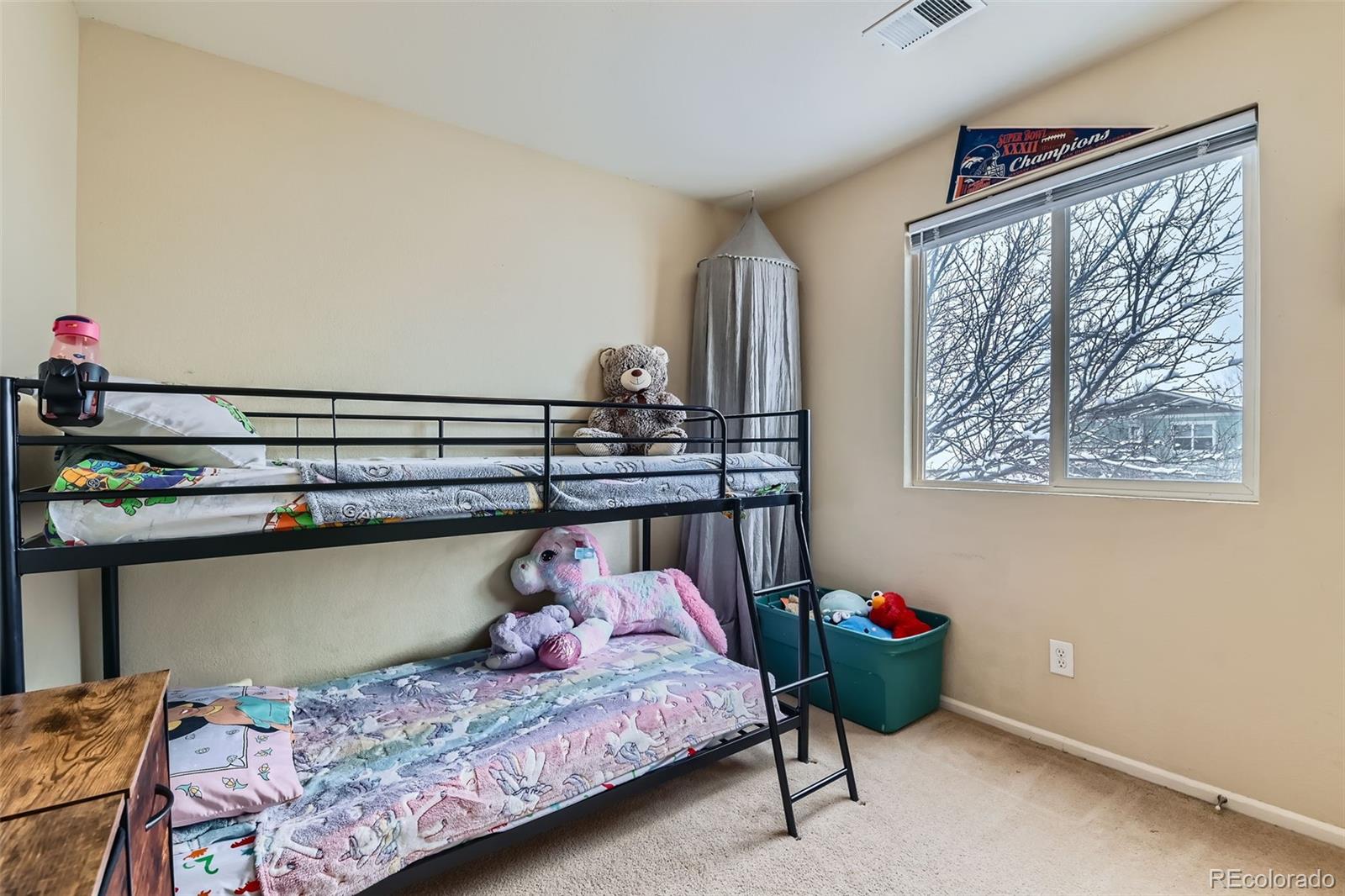 MLS Image #21 for 4552  crestone peak street,brighton, Colorado