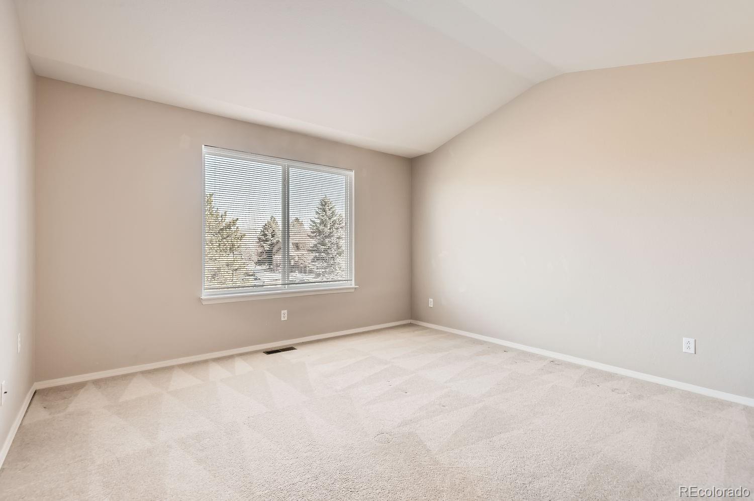 MLS Image #20 for 6448  silver mesa drive,highlands ranch, Colorado