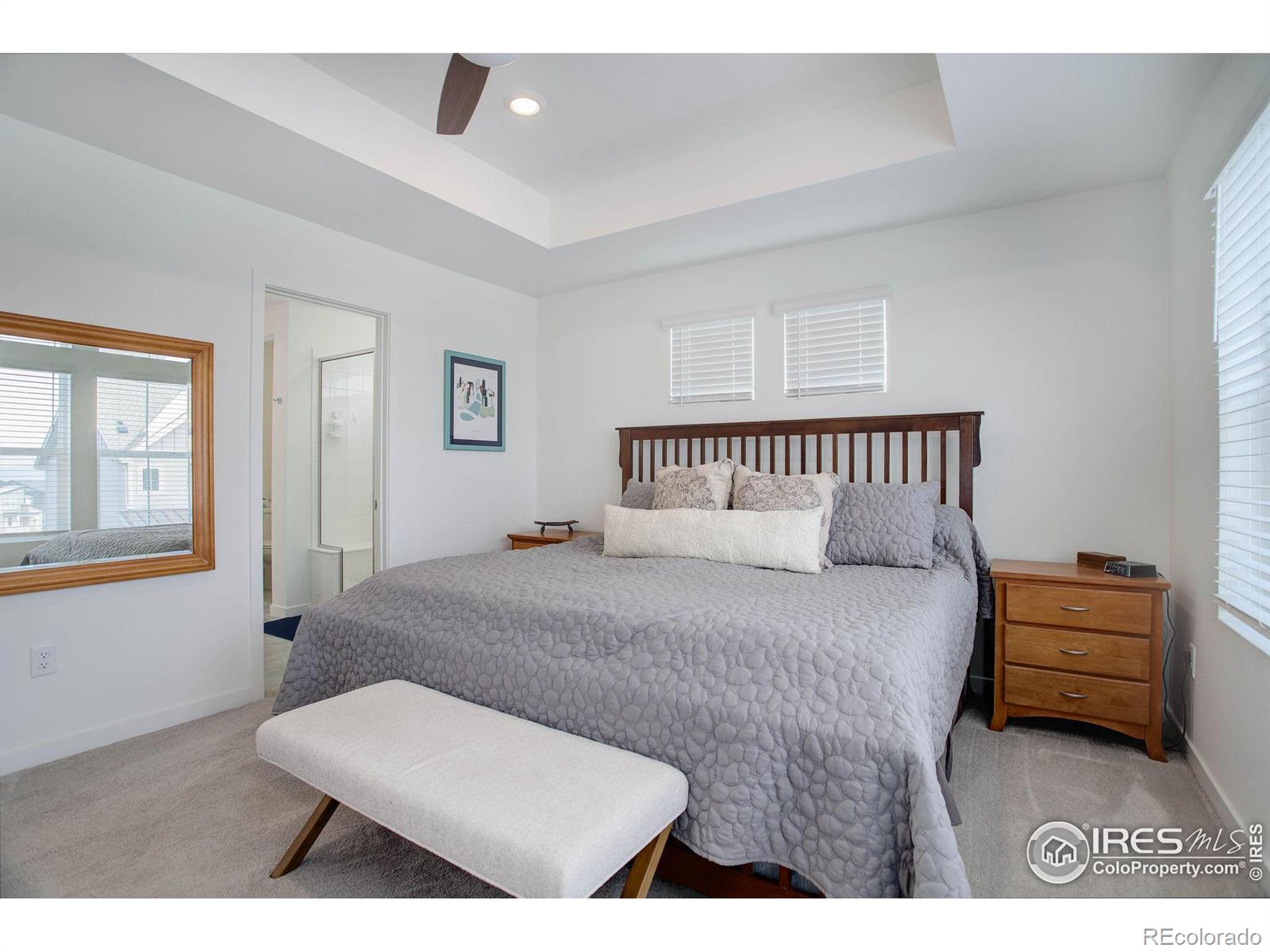 MLS Image #13 for 6256  wild rye street,loveland, Colorado