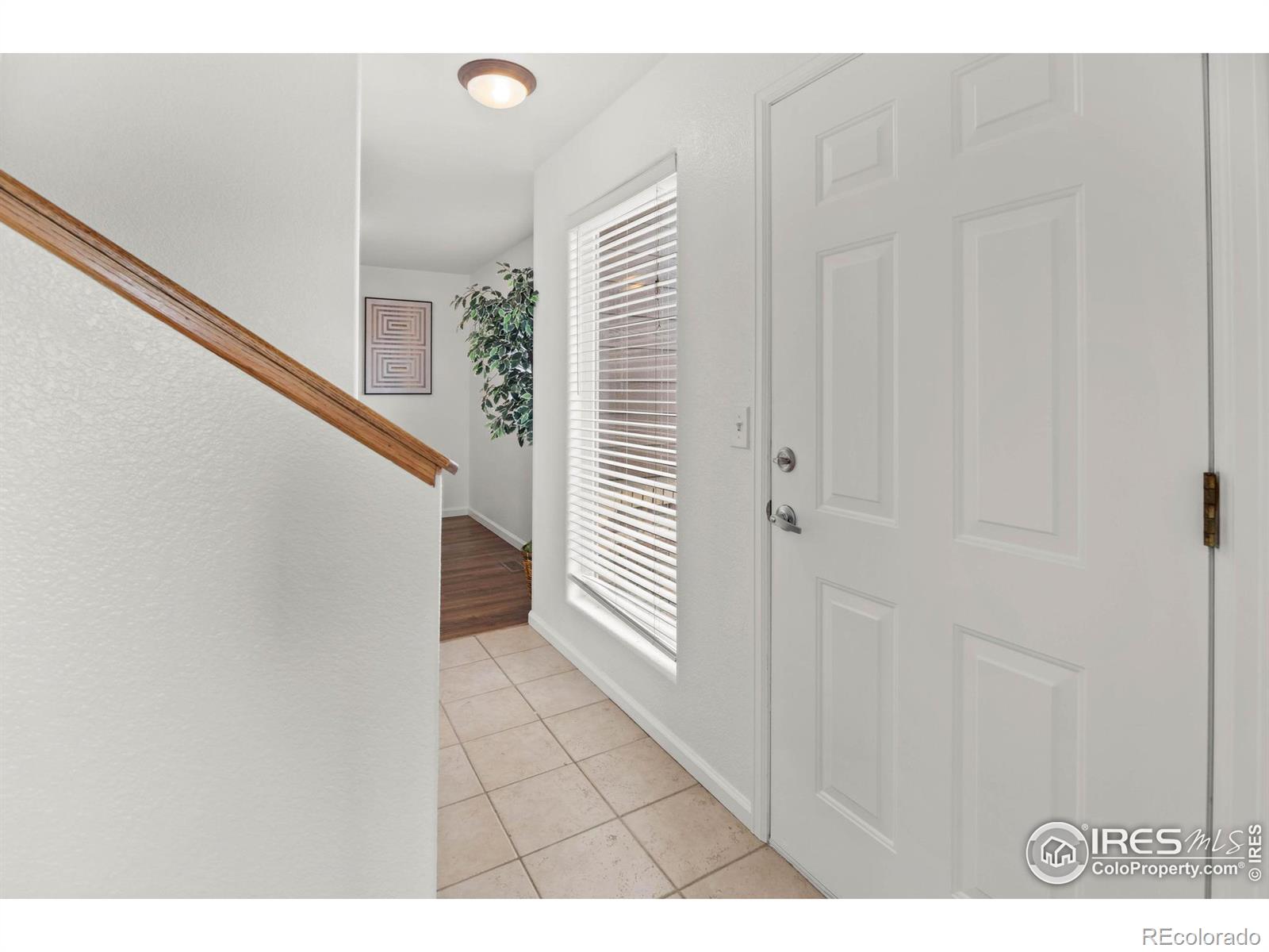 MLS Image #3 for 1601  great western drive,longmont, Colorado