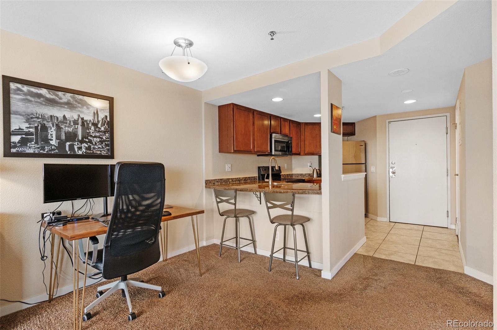 MLS Image #13 for 100  park avenue,denver, Colorado