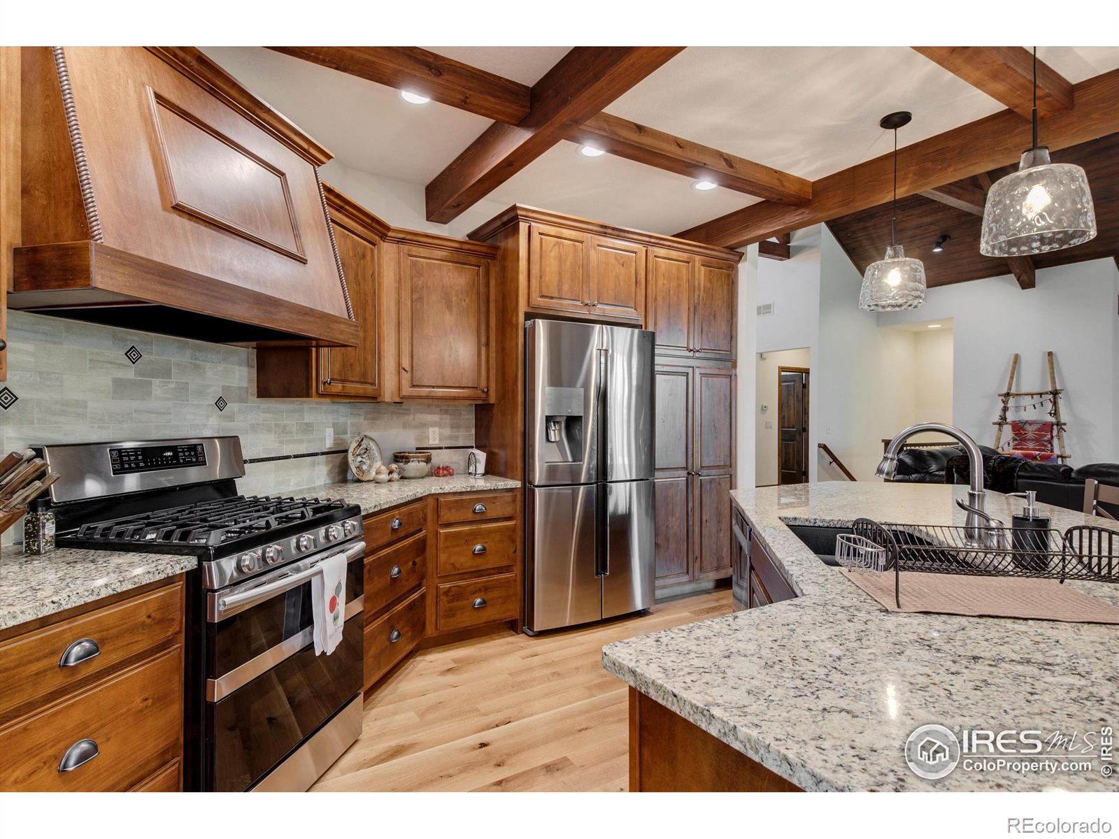 MLS Image #13 for 1353  bluemoon drive,longmont, Colorado