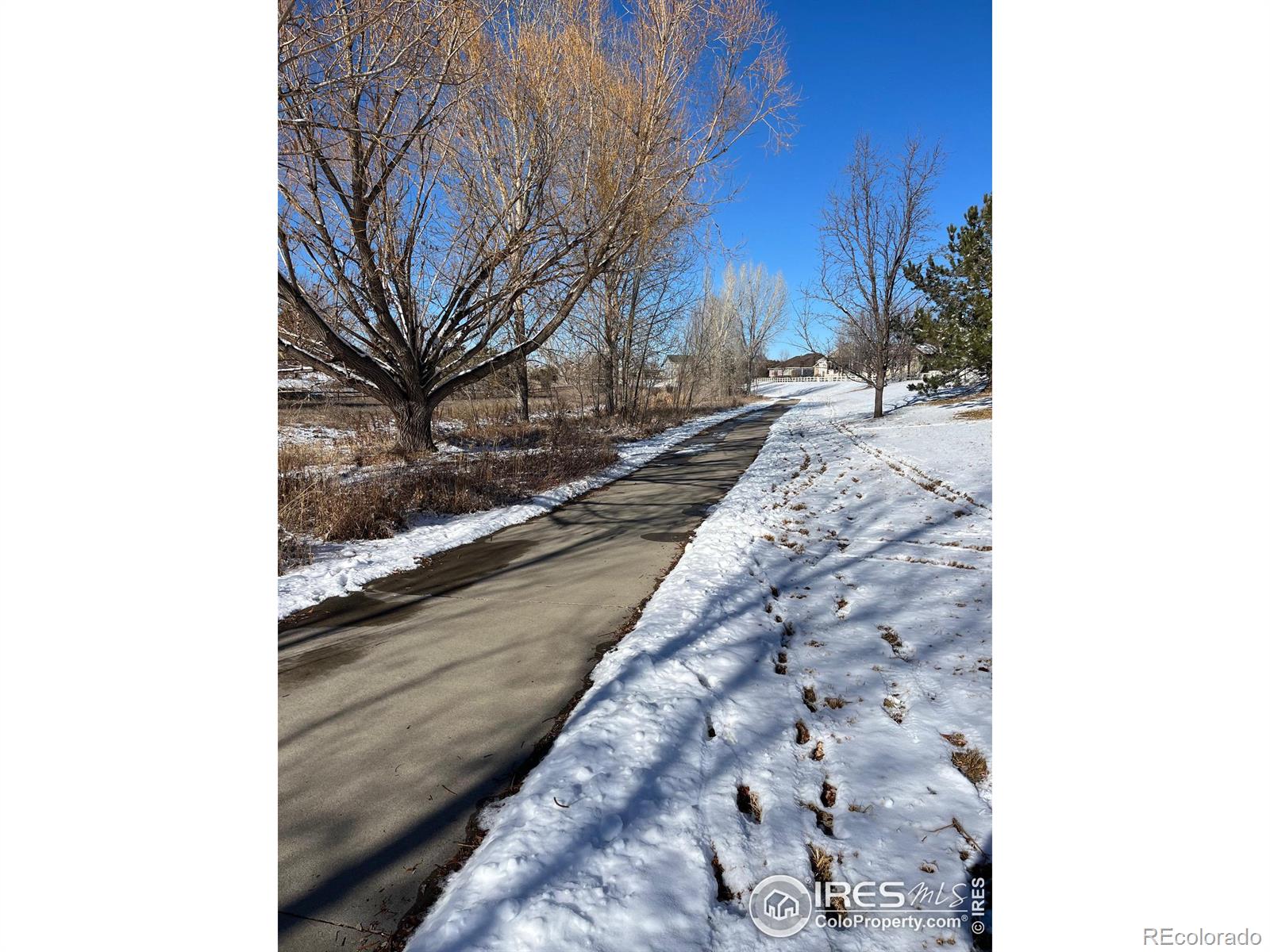 MLS Image #33 for 1353  bluemoon drive,longmont, Colorado