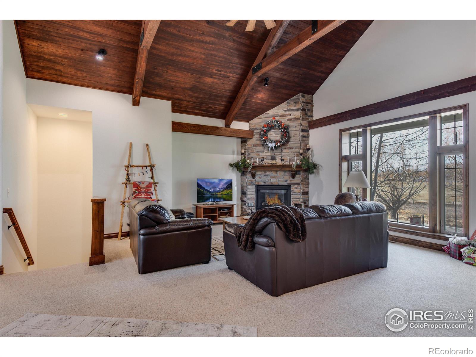 MLS Image #8 for 1353  bluemoon drive,longmont, Colorado