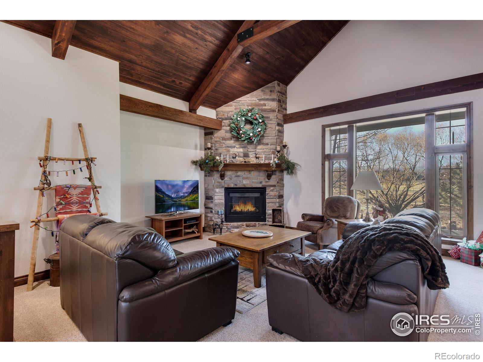 MLS Image #9 for 1353  bluemoon drive,longmont, Colorado