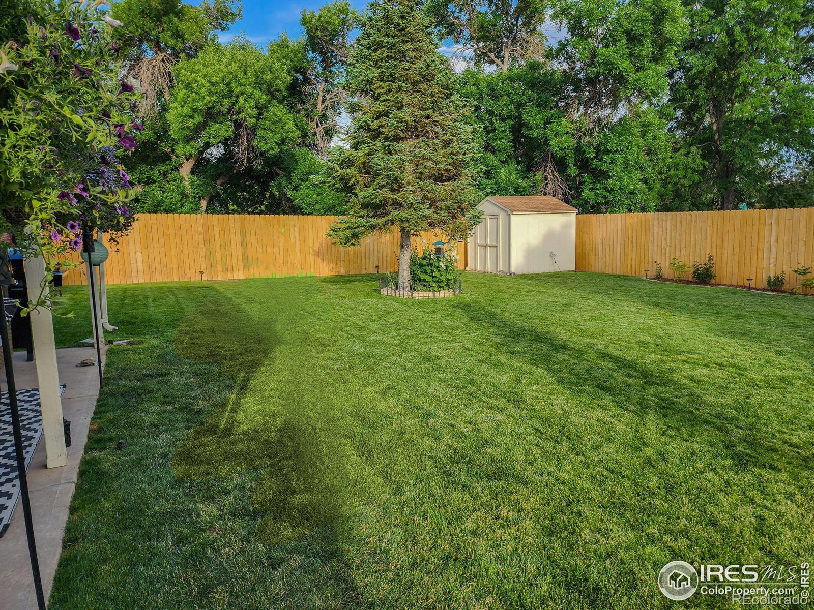 MLS Image #27 for 2432 w 22nd street,loveland, Colorado