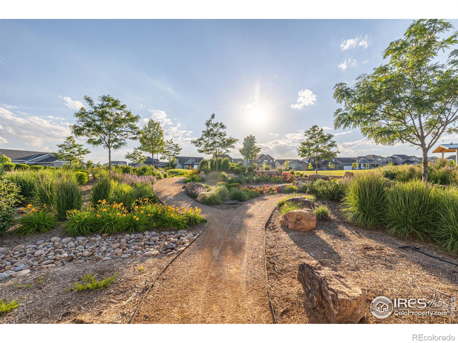 MLS Image #38 for 817  wind river court,brighton, Colorado