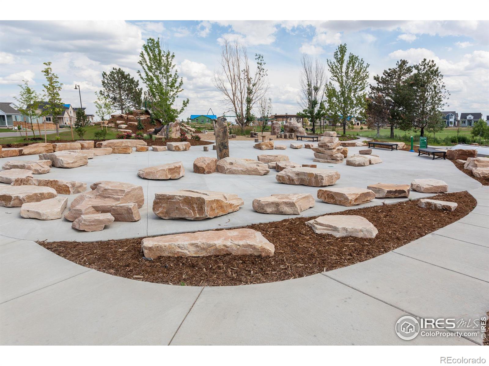 MLS Image #34 for 6109  saddle horn drive,timnath, Colorado