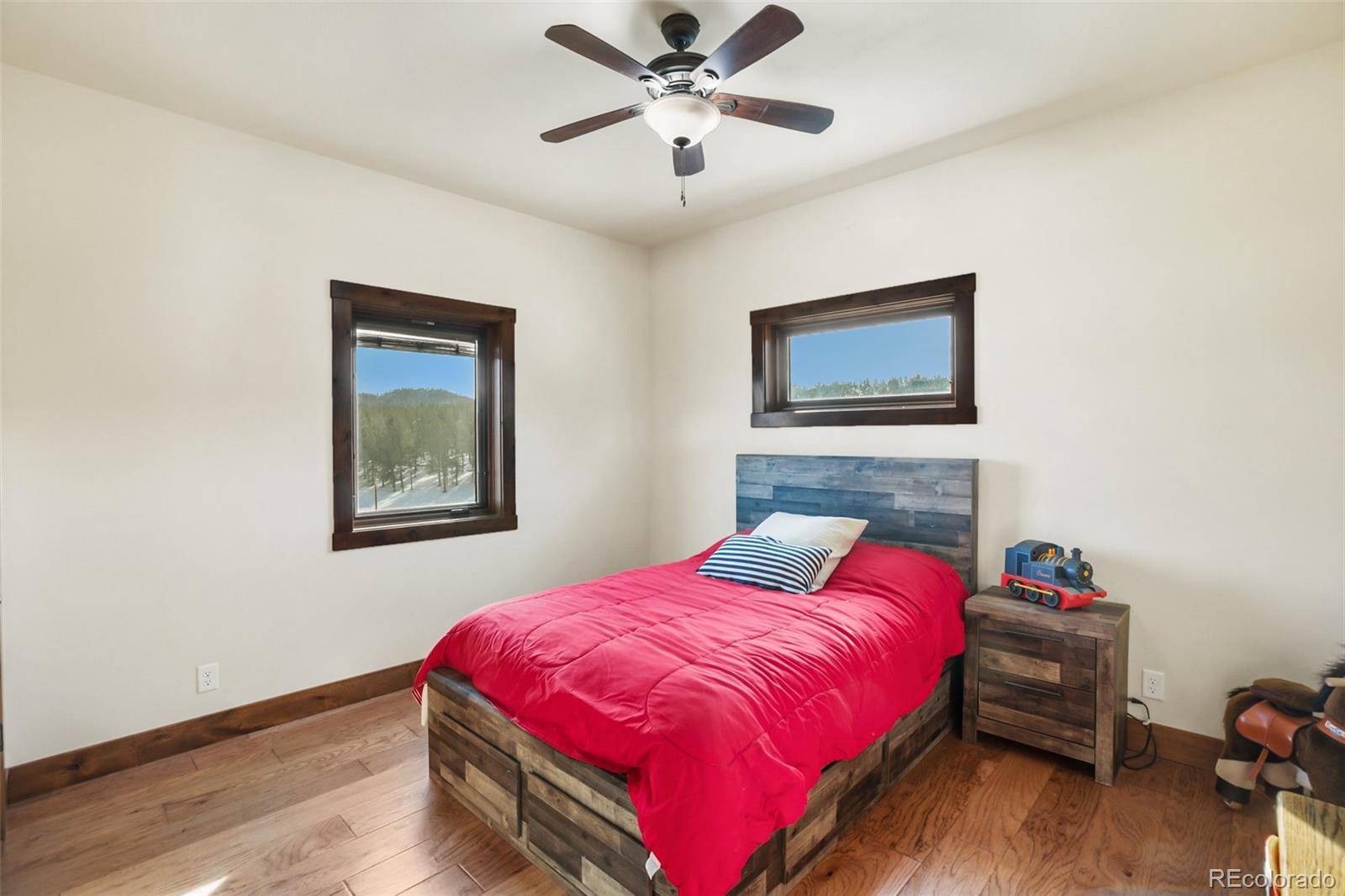 MLS Image #24 for 363  stoll ranch road,lake george, Colorado