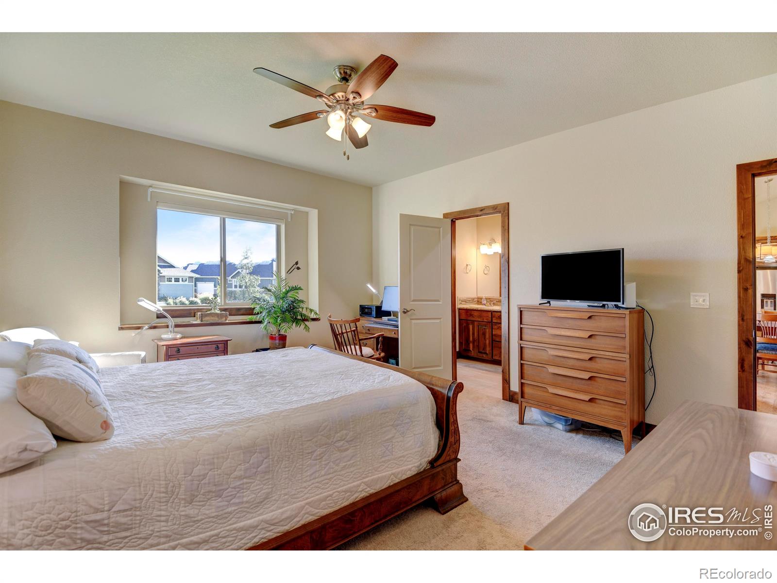 MLS Image #11 for 3528  peruvian torch drive,loveland, Colorado