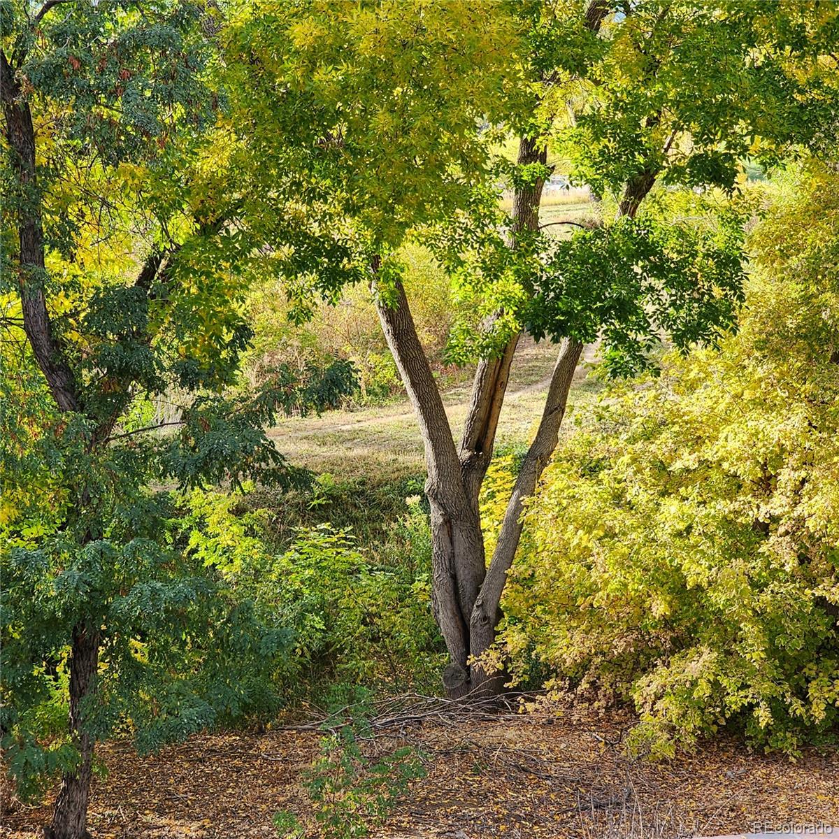 MLS Image #40 for 4035 w 103rd court,westminster, Colorado