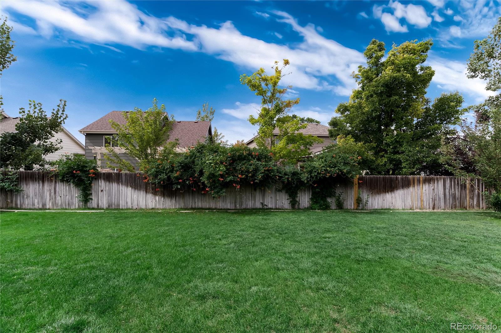 MLS Image #41 for 8839  jackdaw street,littleton, Colorado