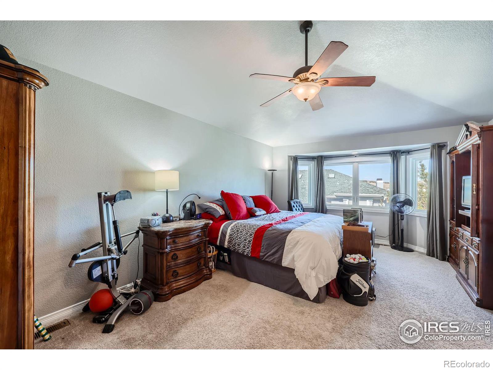 MLS Image #12 for 140  sugar plum way,castle rock, Colorado