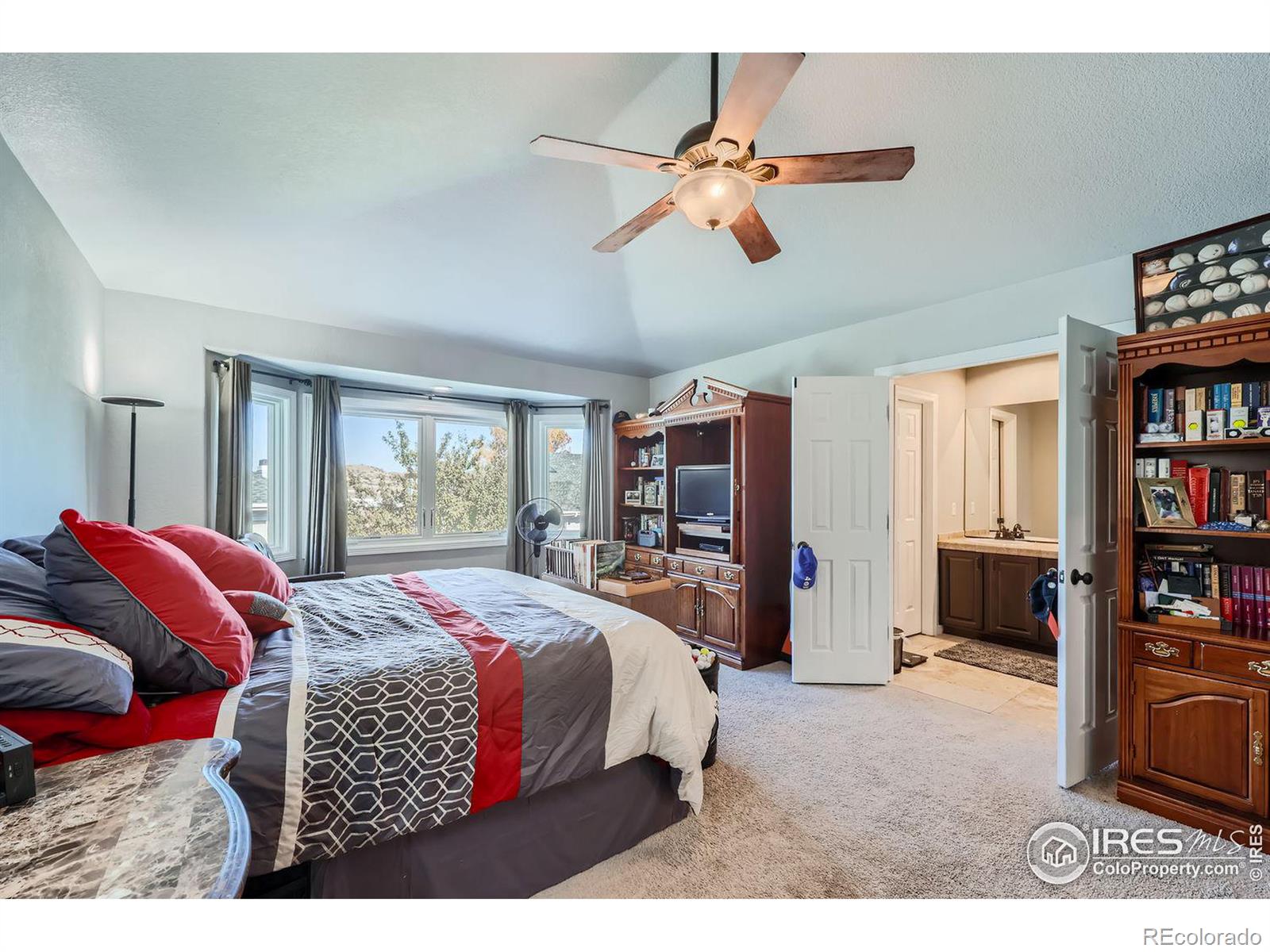 MLS Image #13 for 140  sugar plum way,castle rock, Colorado