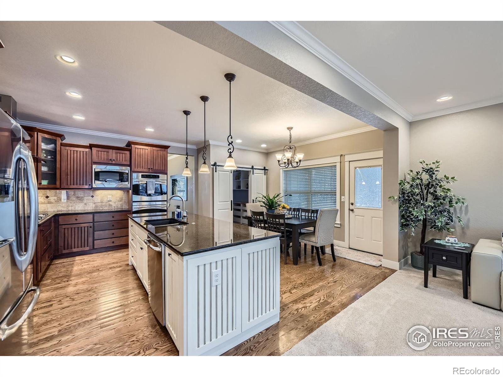 MLS Image #10 for 5835  pelican shores drive,longmont, Colorado