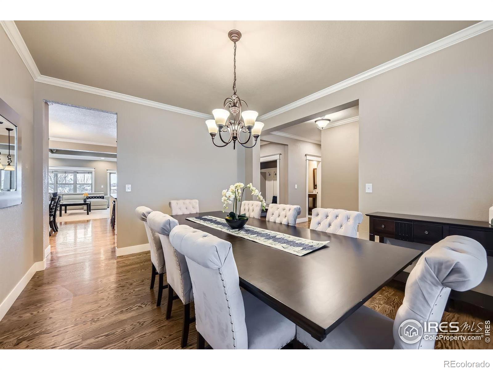 MLS Image #13 for 5835  pelican shores drive,longmont, Colorado