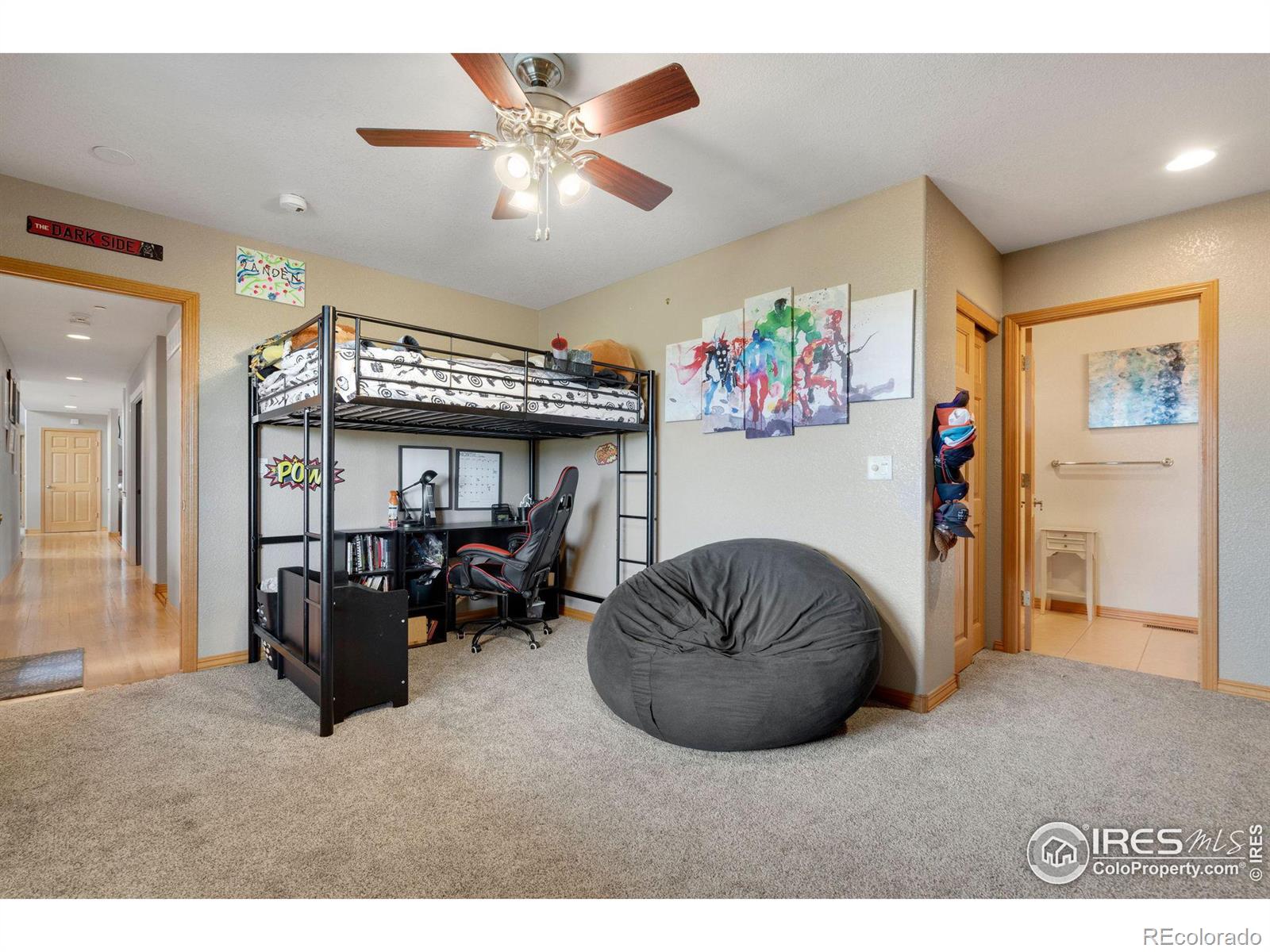 MLS Image #19 for 3143  paddy lane,loveland, Colorado