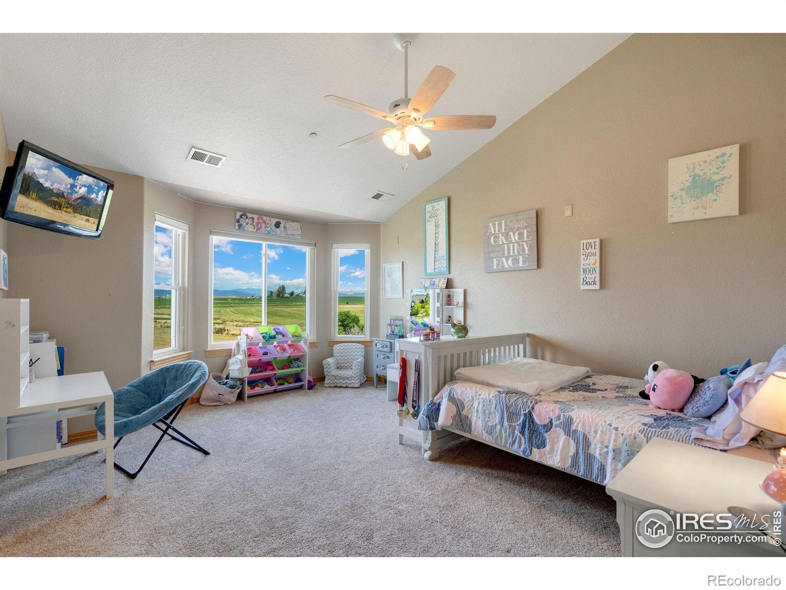 MLS Image #23 for 3143  paddy lane,loveland, Colorado