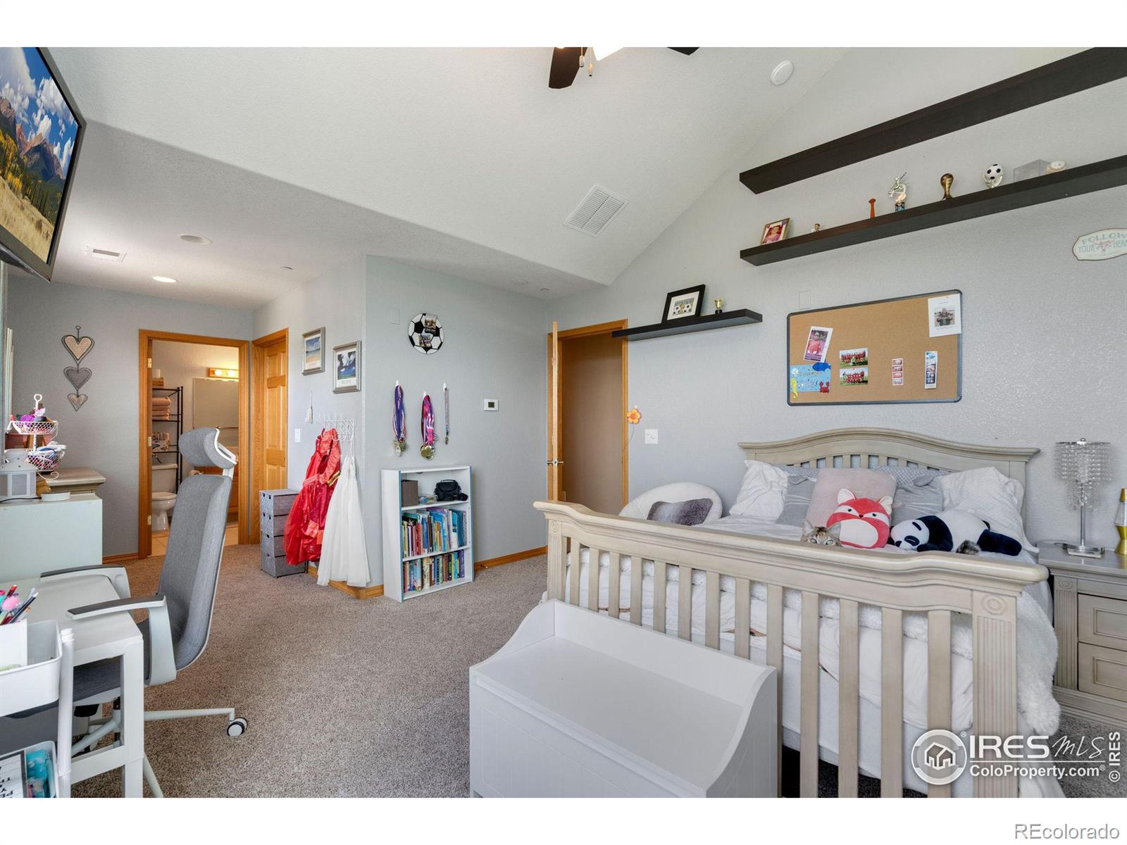 MLS Image #24 for 3143  paddy lane,loveland, Colorado