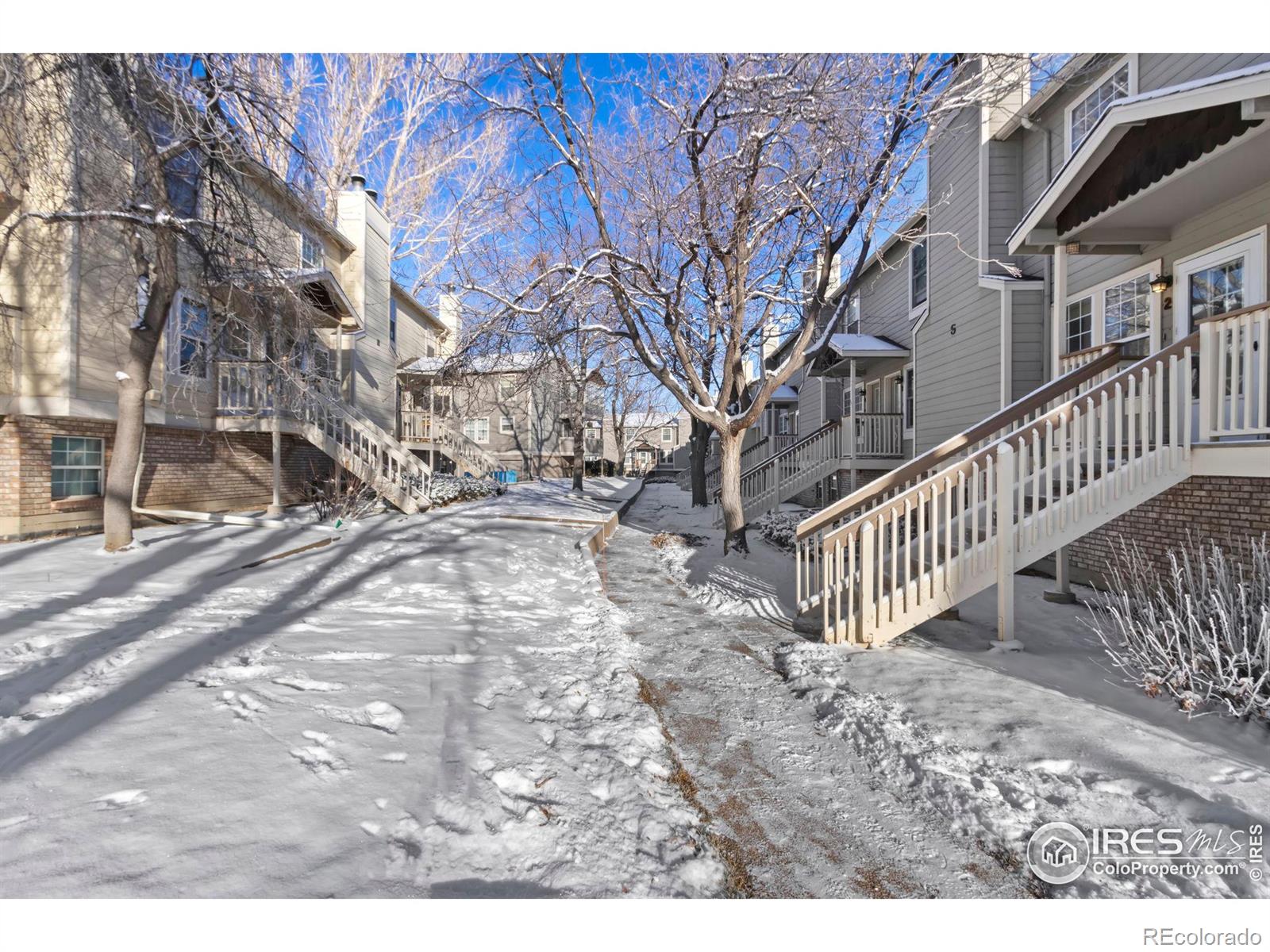 MLS Image #33 for 3200  azalea drive,fort collins, Colorado