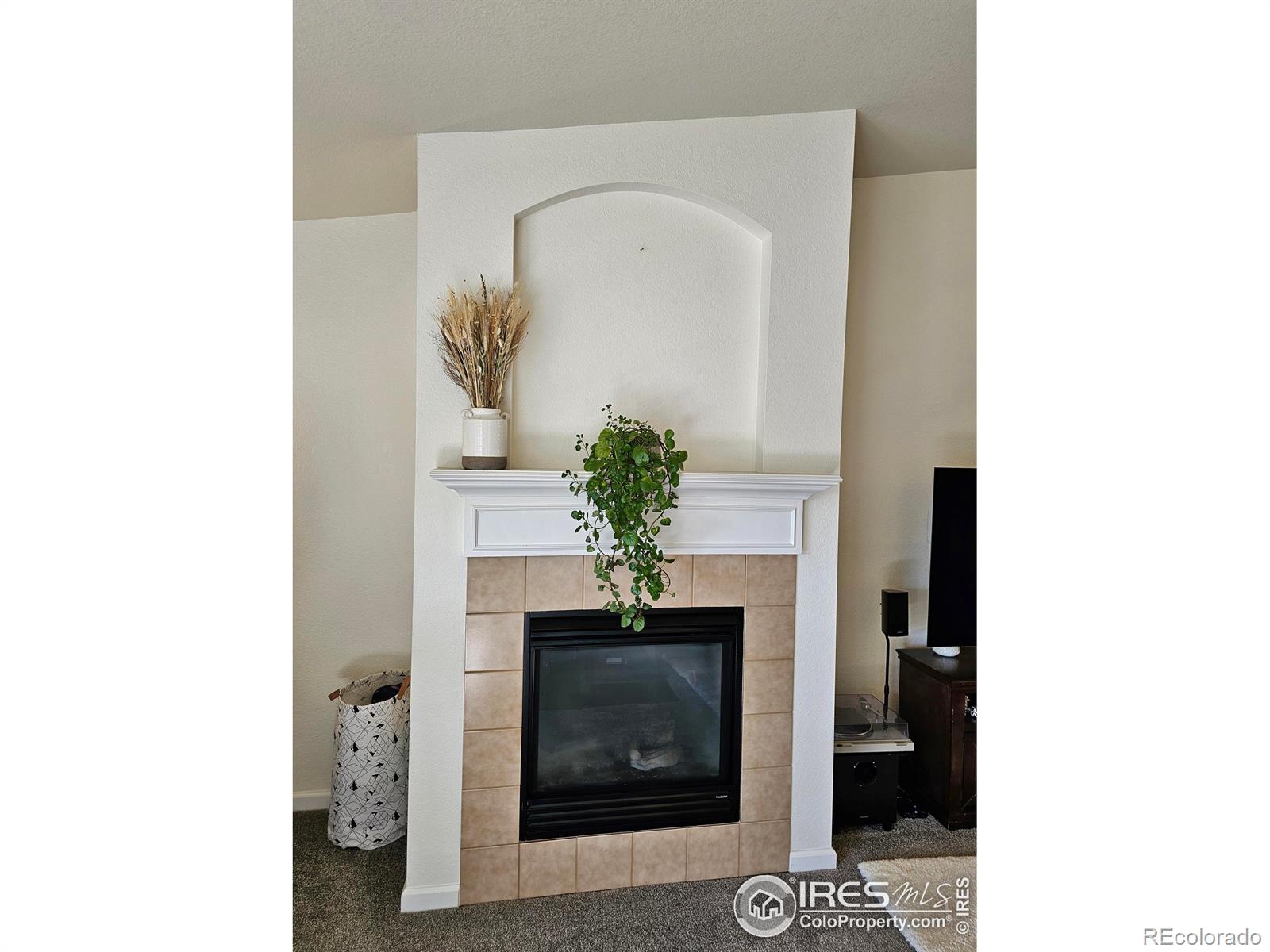 MLS Image #7 for 14167  sun blaze loop,broomfield, Colorado