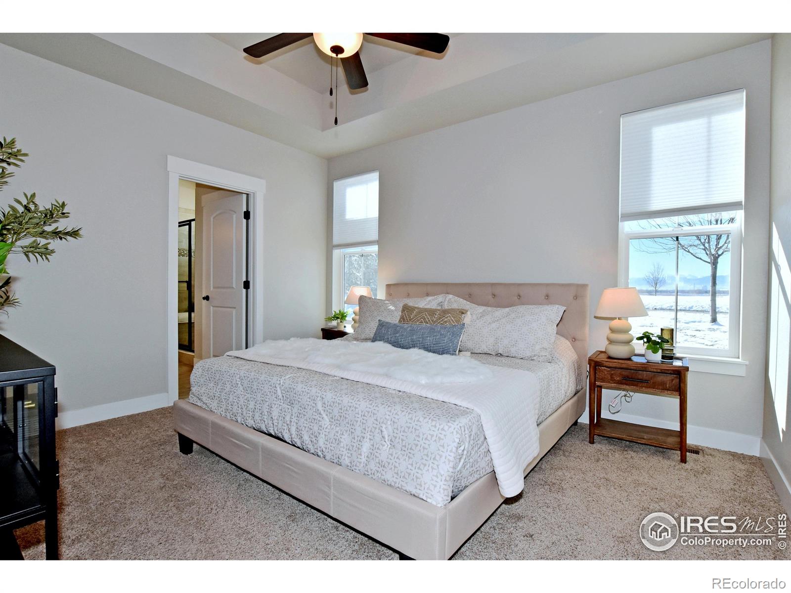 MLS Image #11 for 2441  trio falls drive,loveland, Colorado