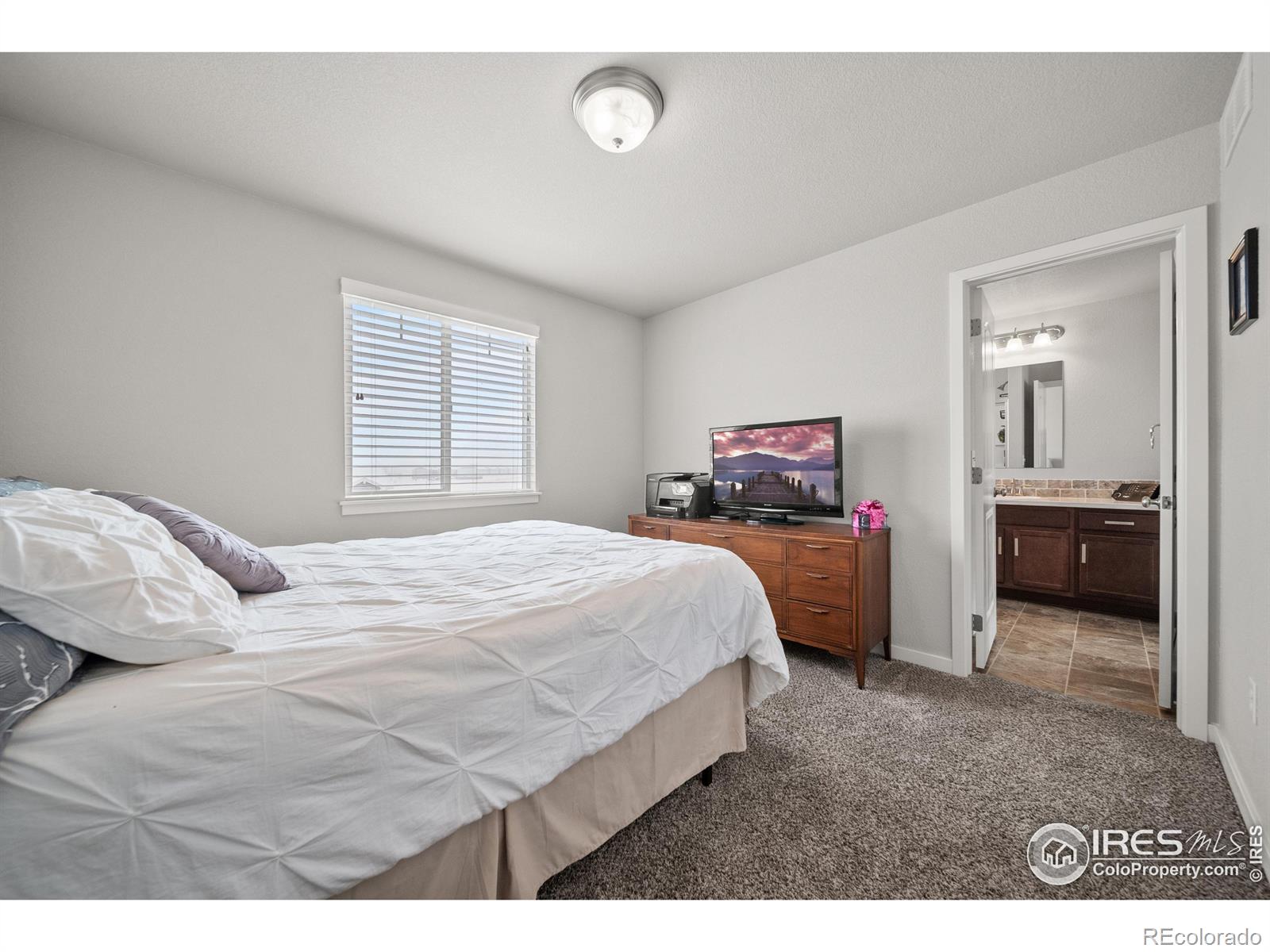 MLS Image #12 for 100  11th avenue,wiggins, Colorado