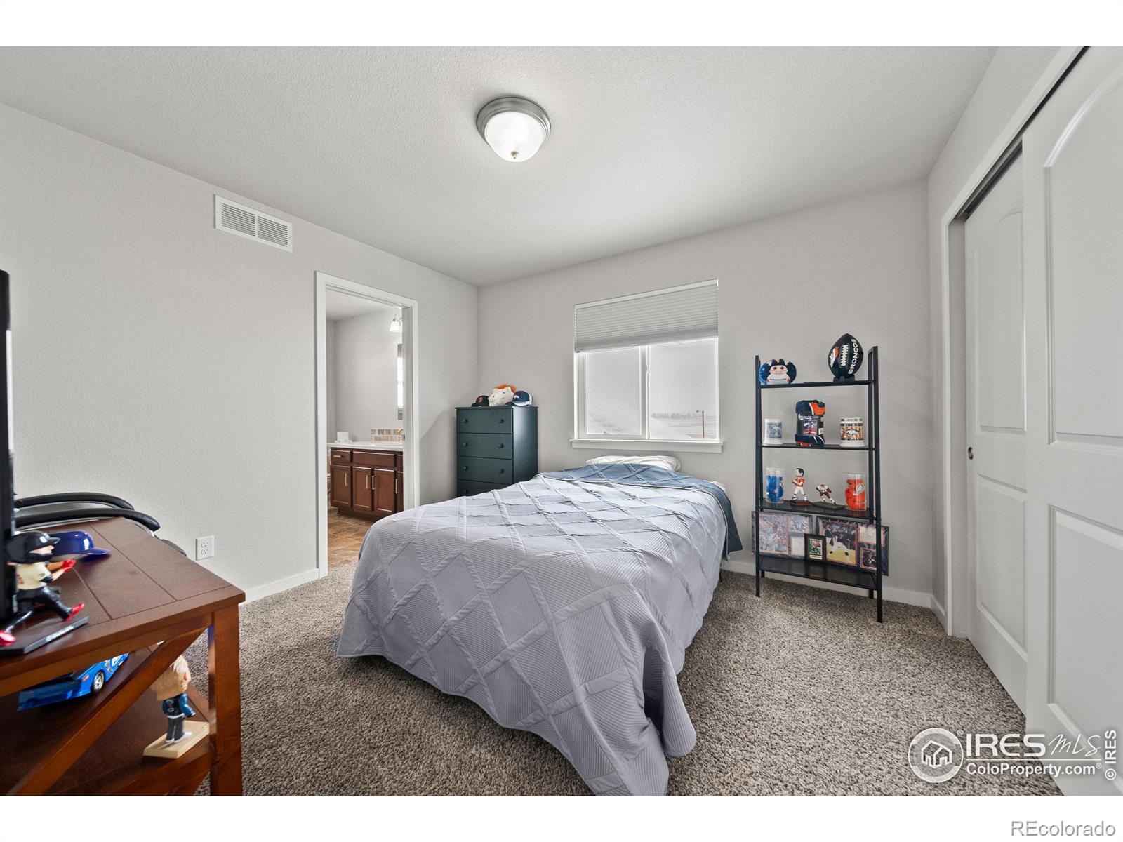 MLS Image #14 for 100  11th avenue,wiggins, Colorado