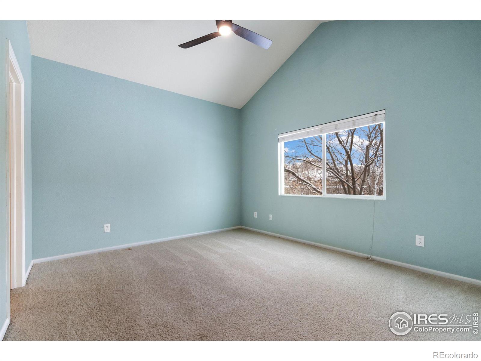 MLS Image #21 for 230  carina circle,loveland, Colorado