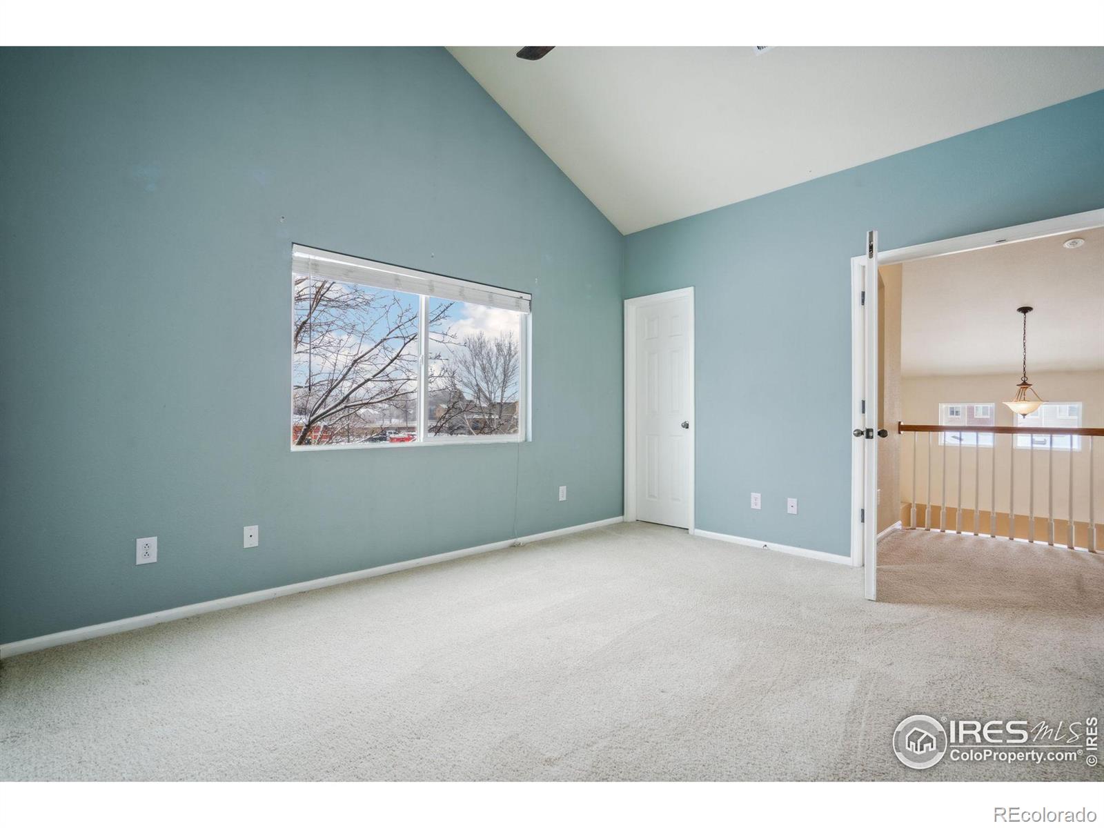 MLS Image #22 for 230  carina circle,loveland, Colorado