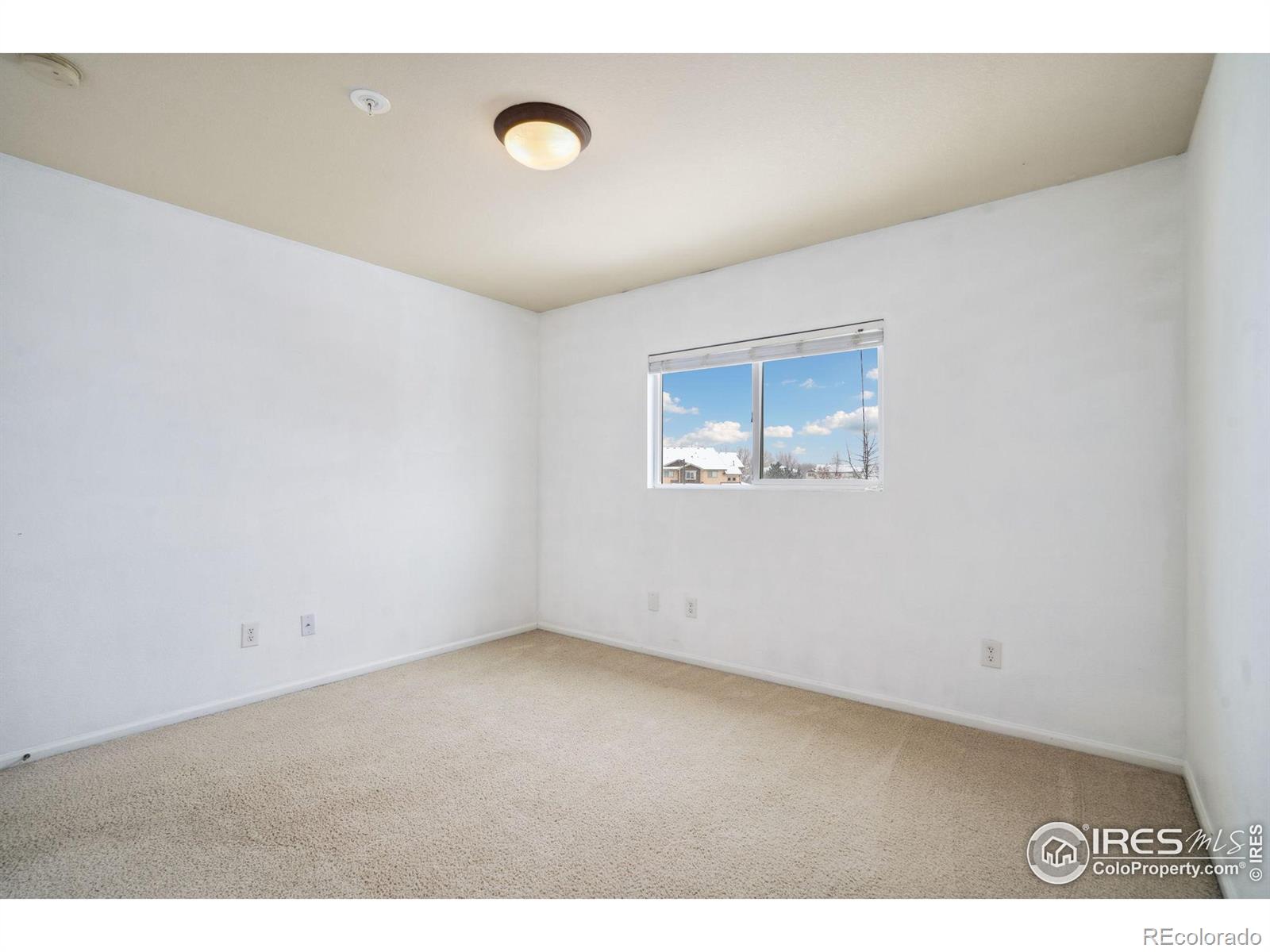 MLS Image #29 for 230  carina circle,loveland, Colorado