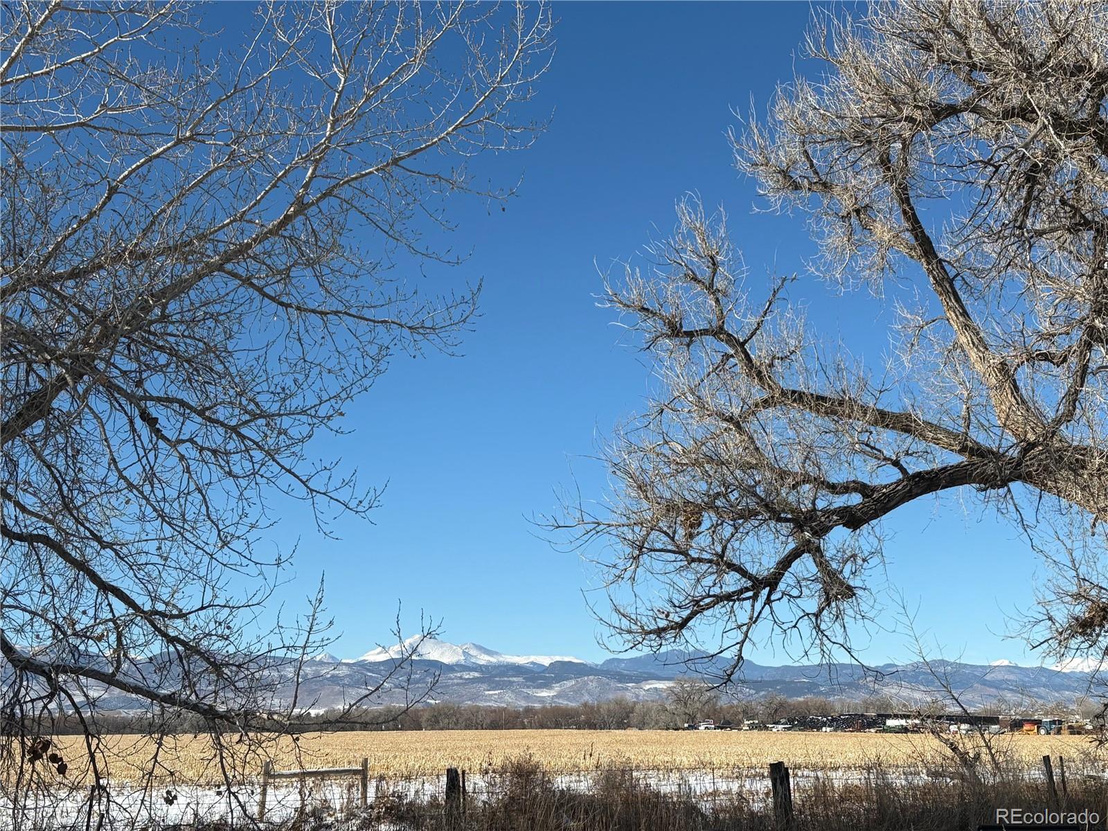 MLS Image #4 for 8003 n 95th street,longmont, Colorado