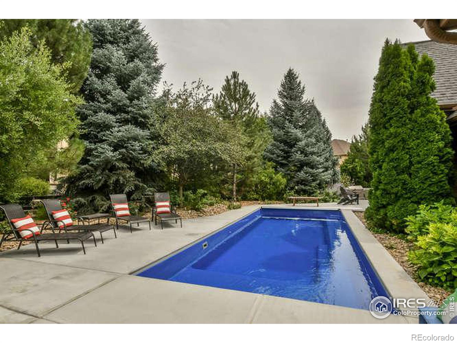 MLS Image #4 for 1312  jade lane,longmont, Colorado