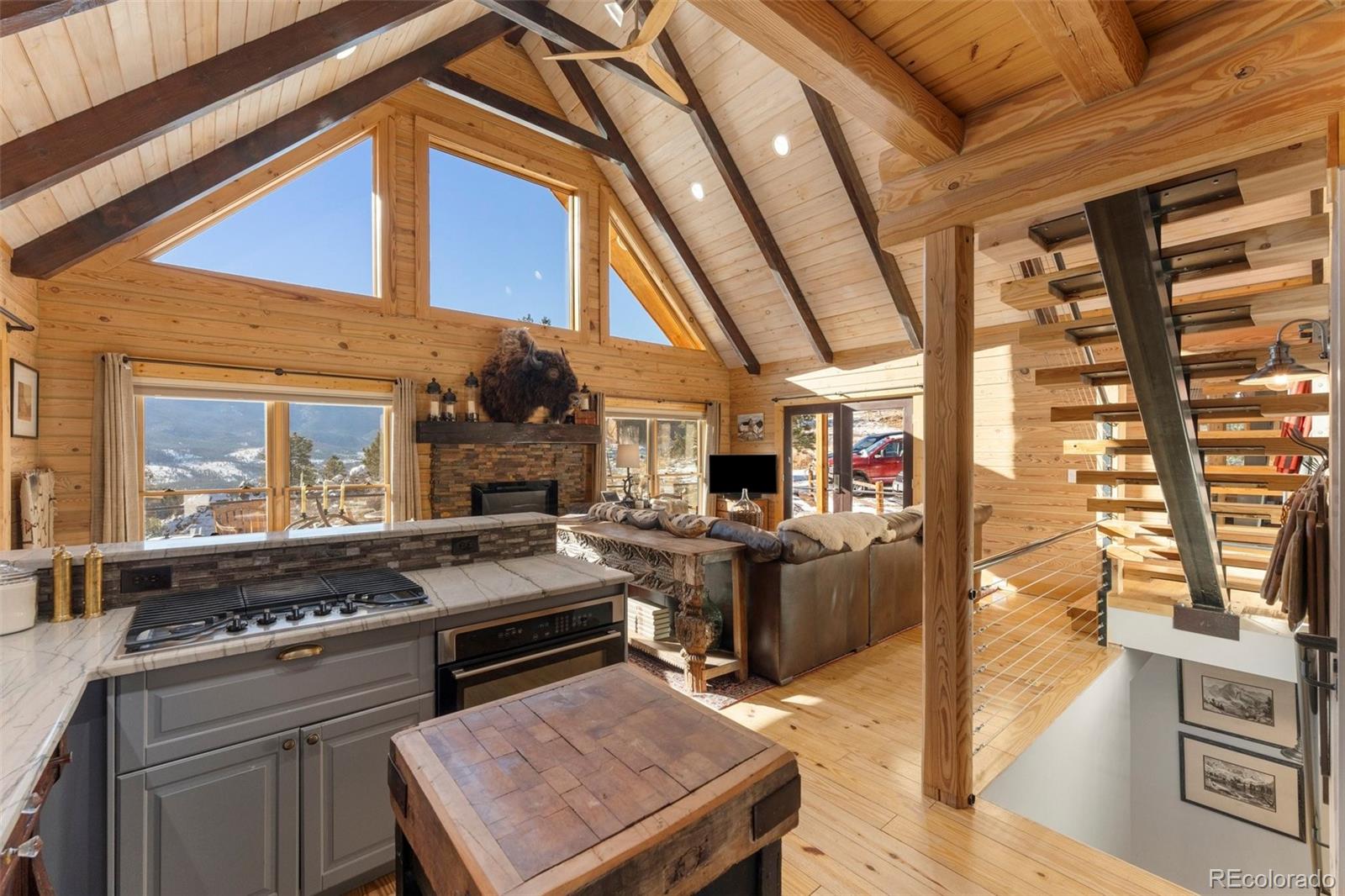 MLS Image #5 for 628  aspen lane,bailey, Colorado