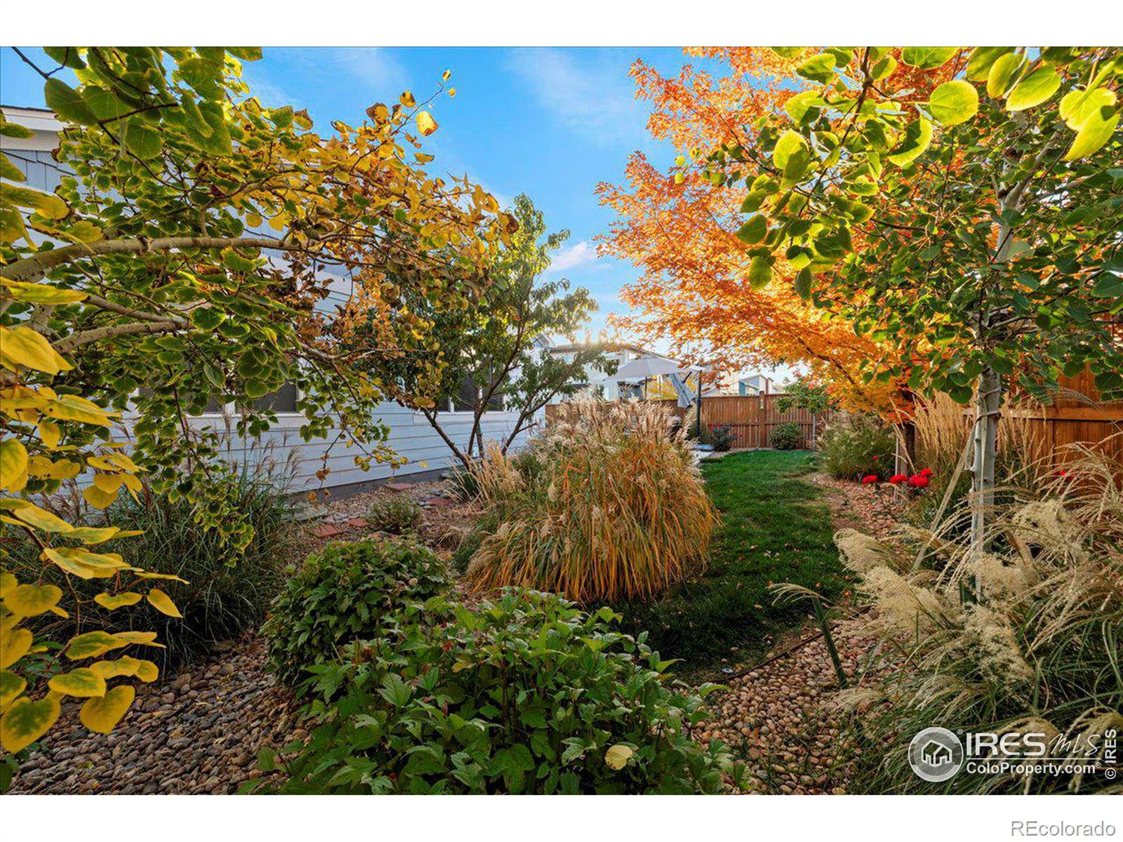 MLS Image #22 for 747  cristo lane,lafayette, Colorado